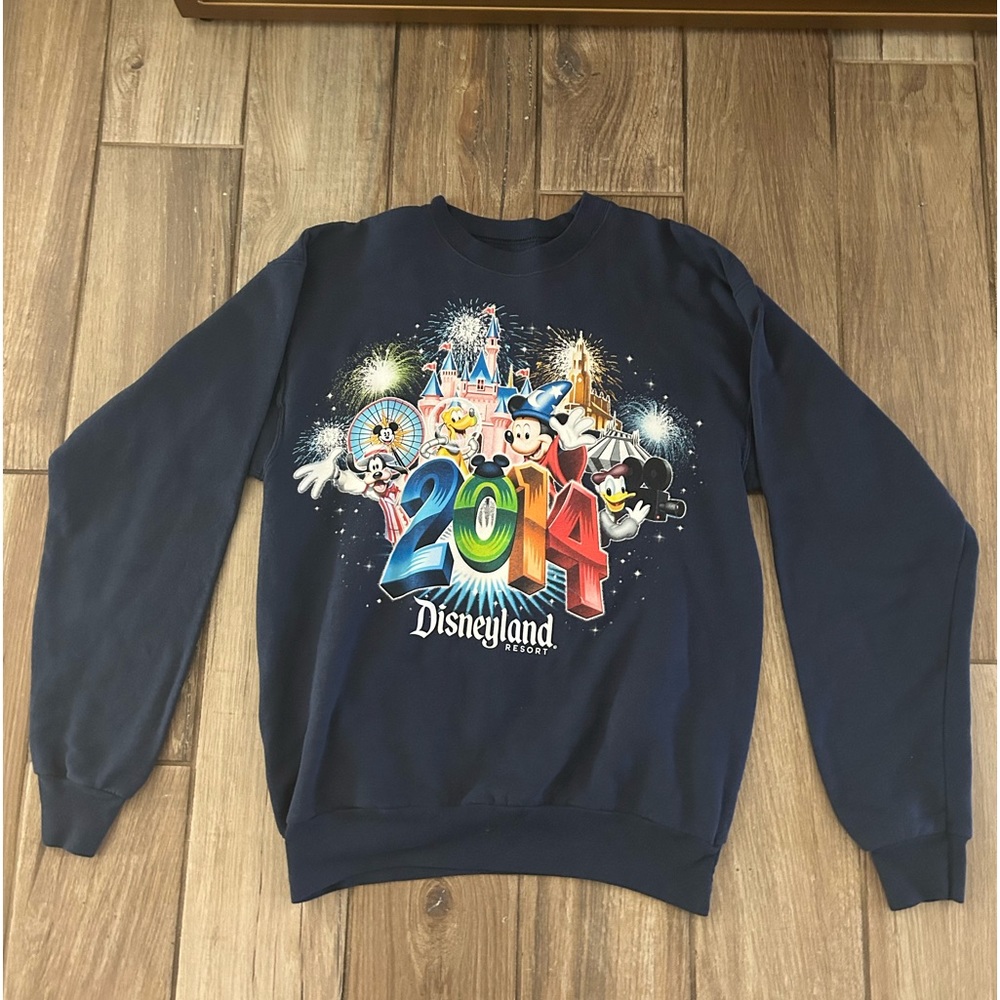 Disneyland 2014 sweatshirt